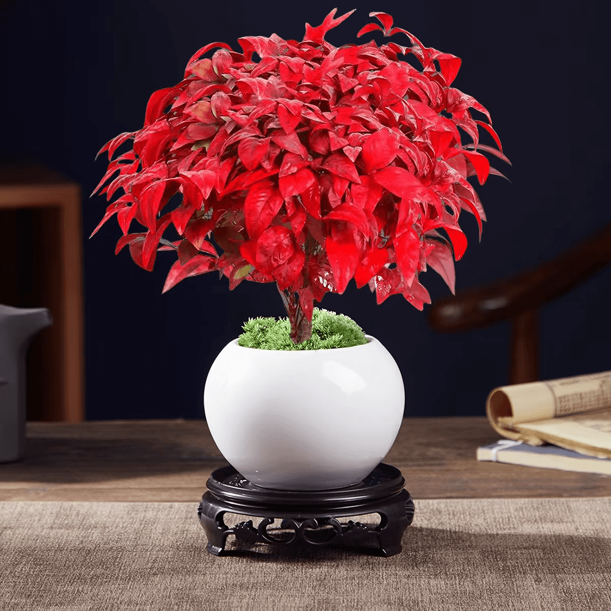 Firethorn Nandina - Пышные густые красные перистые листья с зубчатыми краями и ослепительными окрасками в пухлой округлой форме исключительной декоративной ценности