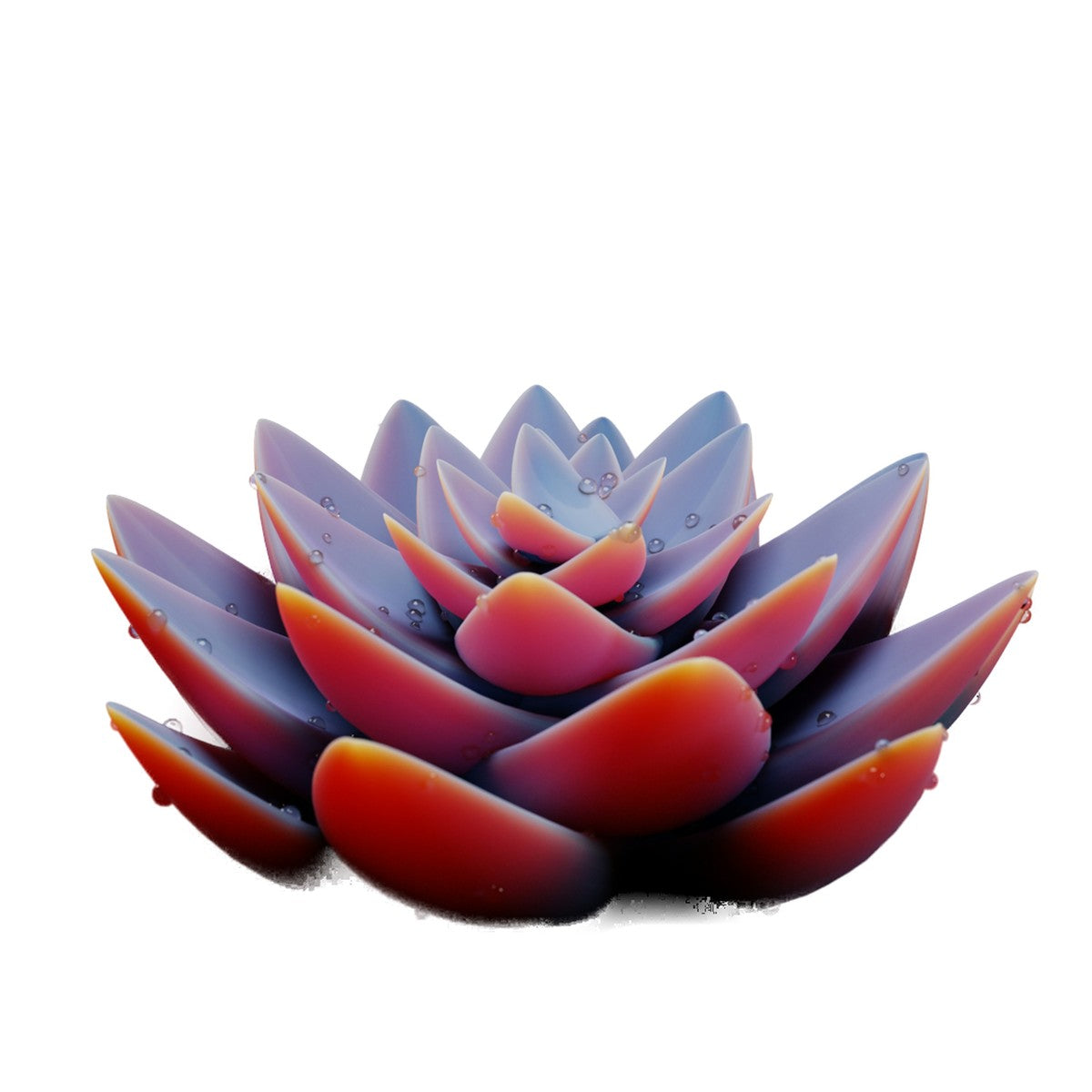Premium Potted Plants