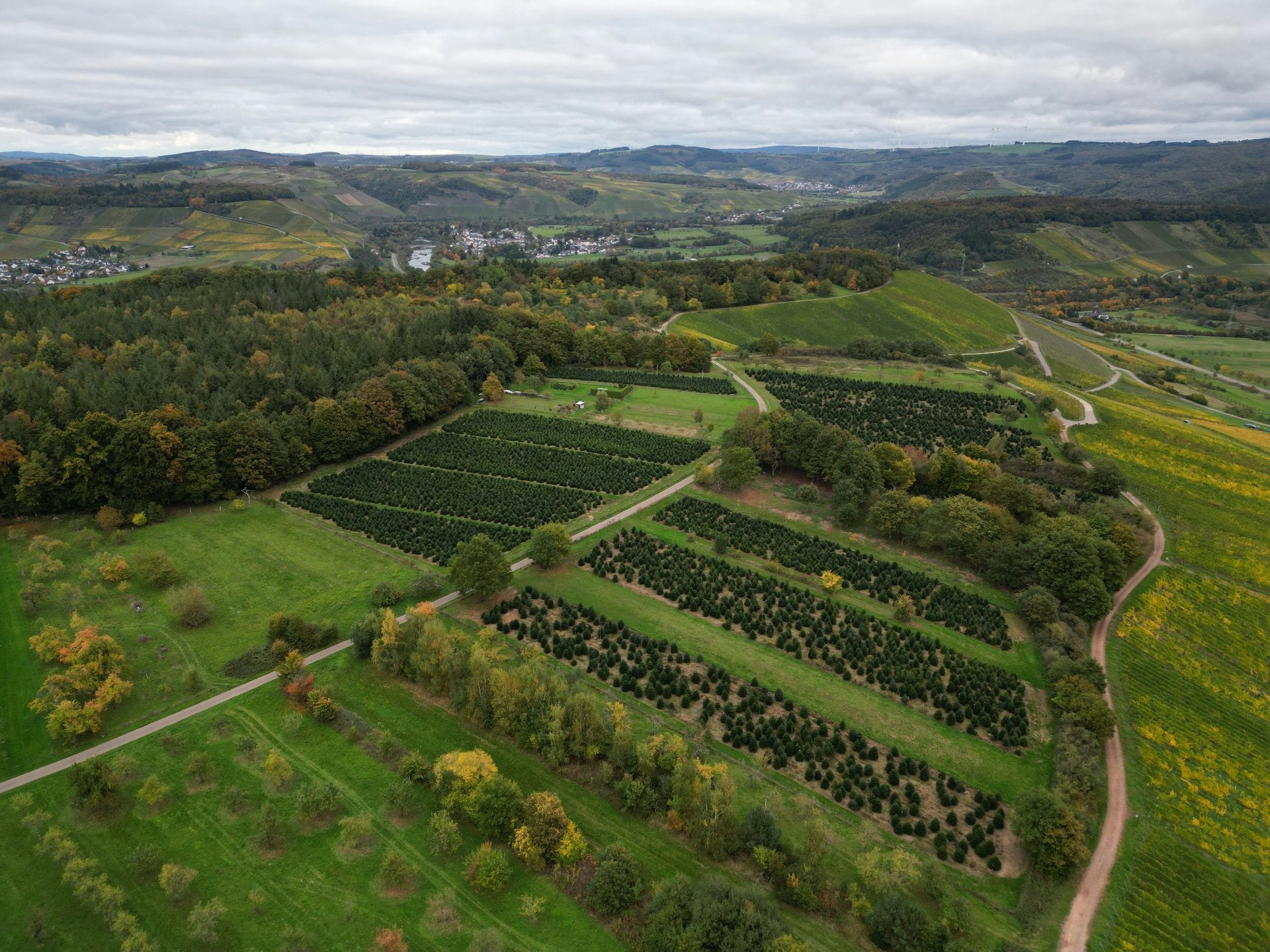 Aerial drone view of Autumn Field Nursery — 600 mu production base in Xiaogan, Hubei